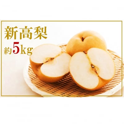 【先行受付】令和8年発送/数量限定!矢野果樹園の梨『新高』5kg_2063R