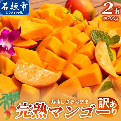 【自家用】完熟マンゴー 2玉(約700g)《2027年6月中旬順次発送》【先行受付】