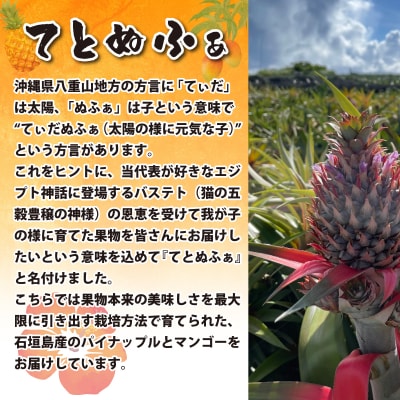 【自家用】完熟マンゴー 2玉(約700g)《2027年6月中旬順次発送》【先行受付】