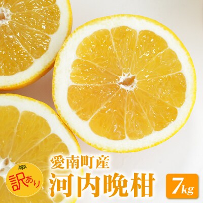 訳あり 河内晩柑 7kg 愛南ゴールド 愛媛県 愛南町 山口農園 