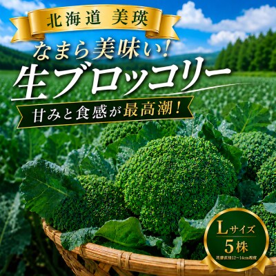 ブロッコリー 5株 Lサイズ【令和8年産】
