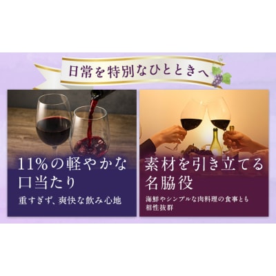 defi 91 ans 1本 750ml 赤ワイン 馬場 幸一《7-14日以内に出荷予定(土日祝除》