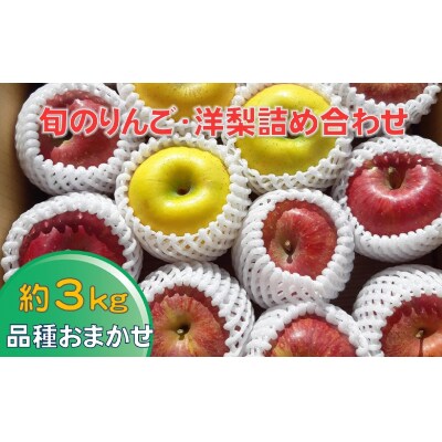 【先行受付】 旬のりんご(洋梨含む) 約3kg 品種おまかせ 1種～2種 果物 フルーツ セット 旬