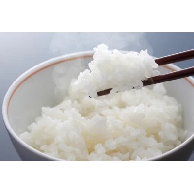 【ふるさと納税】ななつぼし「氷点の舞」10Kg(5kg×2袋)