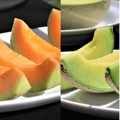 【ふるさと納税】≪令和8年産予約≫わっさむ産メロン(お任せ2玉)【7～8月お届け】