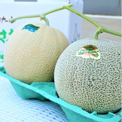 【ふるさと納税】≪令和8年産予約≫わっさむ産メロン(お任せ2玉)【7～8月お届け】