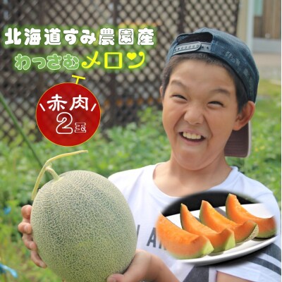 【ふるさと納税】≪令和8年産予約≫わっさむ産メロン(赤肉2玉)【7～8月お届け】