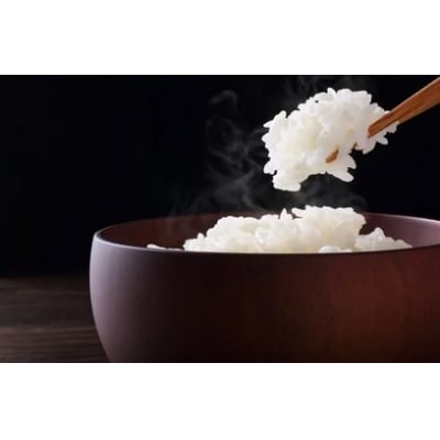 【ふるさと納税】【3ヵ月定期便】北海道産米 ななつぼし「氷点の舞」 10kg(5kg×2袋)