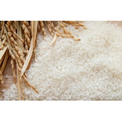 【ふるさと納税】【3ヵ月定期便】北海道産米 ななつぼし「氷点の舞」 10kg(5kg×2袋)