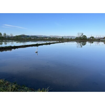 わっさむのおこめ「ゆめぴりか」5kg