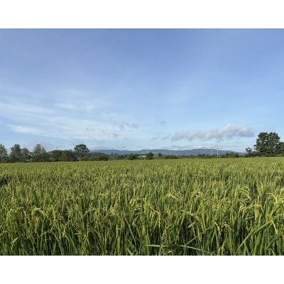〈令和7年産〉ゆめぴりか 北海道 和寒町 5kg 精米 米 お米 北海道米 おこめ わっさむのおこめ