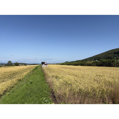 〈令和7年産〉ゆめぴりか 北海道 和寒町 5kg 精米 米 お米 北海道米 おこめ わっさむのおこめ