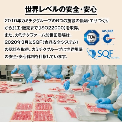 【厳選精肉と楽しむ薩摩の鍋つゆ】黒毛和牛すきしゃぶ　牛しゃぶ和風出汁　K002-019_01