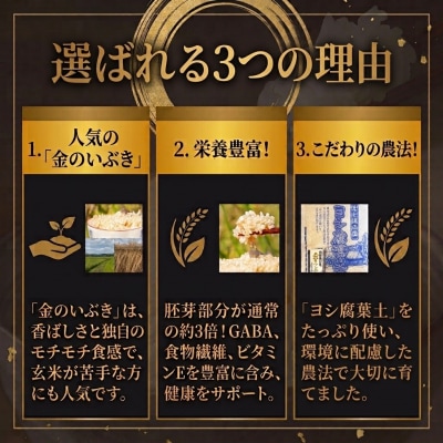 米 令和7年産 ヨシ腐葉土米　金のいぶき(玄米) 5kg 少量 小分け 家庭用 ご飯 お米 石巻市