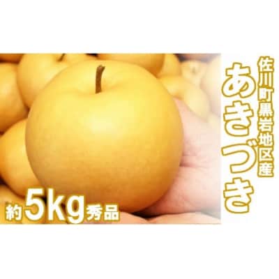 <2026年秋発送 先行受付中!>あきづき梨(約5kg/8～12玉) 秋月梨