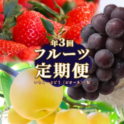 フルーツ定期便(全3回)〈いちご・ピオーネ・梨〉