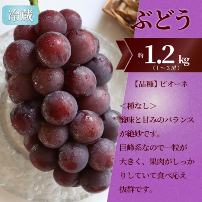 フルーツ定期便(全3回)〈いちご・ピオーネ・梨〉