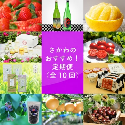 佐川のおすすめ!定期便(全10回)