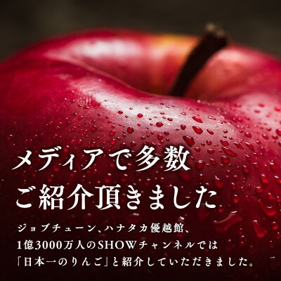 【12月・1月発送】 親子三代最高位のシナノゴールド約5kg【平川市広船産りんご】