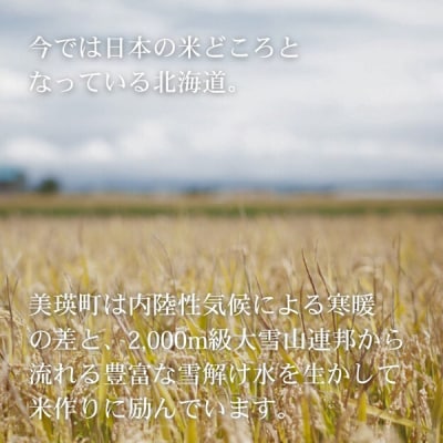 【先行予約】＜令和8年産＞美景農園 新米 ななつぼし10kg