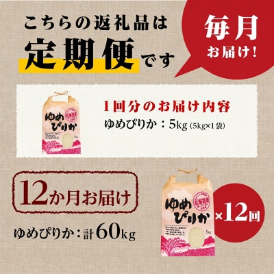 《令和7年産》12ヶ月連続お届け!ゆめぴりか5kg 特A ブランド米 米 白米 精米 北海道 定期便