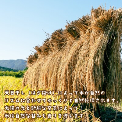 【定期便】健幸農園の天日干し米5kg×3ヵ月セット　ak29026