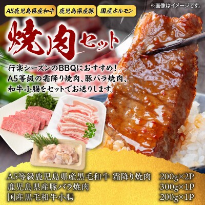【A5和牛・豚・ホルモン】焼肉セット 900g　K002-055