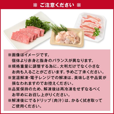 【A5和牛・豚・ホルモン】焼肉セット 900g　K002-055