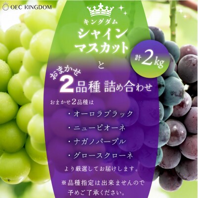  【先行受付】 シャインマスカット と おまかせ2品種詰合せ 合計2kg 岡山県産[21F7003]