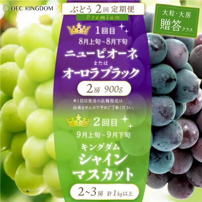 [贈答クラス]2回定期便 ピオーネ オーロラブラック シャインマスカット 岡山県産[21F7005]