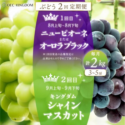 2回 定期便 ピオーネ オーロラブラック シャインマスカット(毎月計2kg発送) [21F7006]