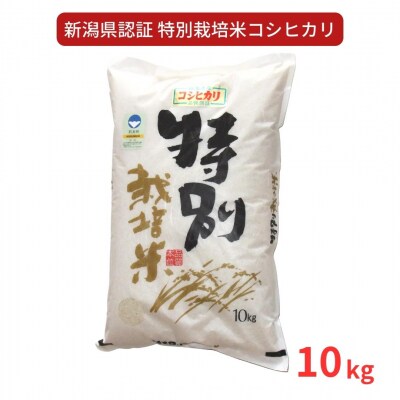 特別栽培米 コシヒカリ10kg 令和7年産 新潟県認証 新潟県三条市産 こしひかり【018S025】