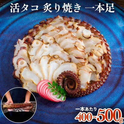 活タコ 炙り焼き 一本足 冷凍 タコ たこ 直火焼き たこ刺し 刺身 たこ足 国産 お祝い 石巻
