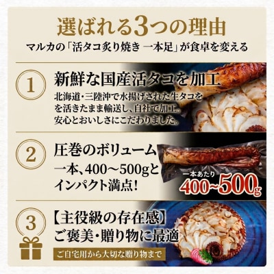 活タコ 炙り焼き 一本足 冷凍 タコ たこ 直火焼き たこ刺し 刺身 たこ足 国産 お祝い 石巻