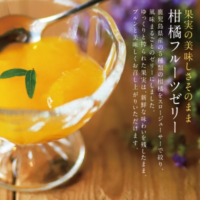 【鹿児島県産】柑橘フルーツゼリー 詰め合わせ 5種 清木場果樹園