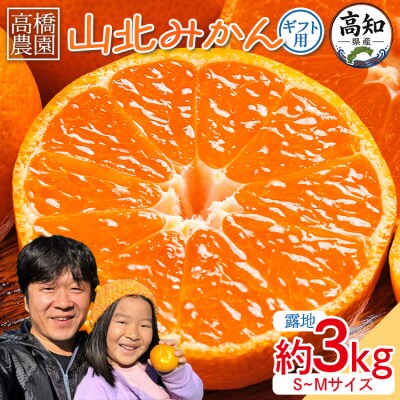山北みかん3kg(露地・S～M) 人気 果物 小玉 大玉 混合 フルーツ th-0028