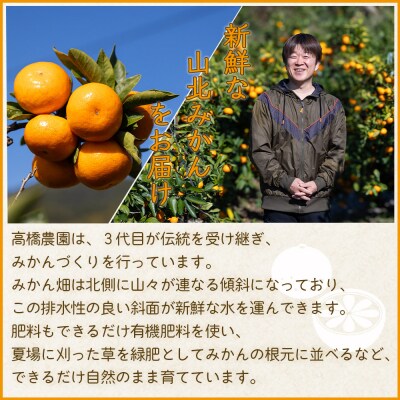 山北みかん3kg(露地・S～M) 人気 果物 小玉 大玉 混合 フルーツ th-0028