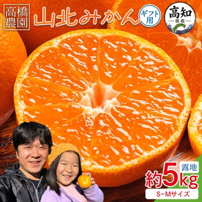 山北みかん5kg(露地・S～M)人気 果物 小玉 大玉 混合 フルーツ th-0029