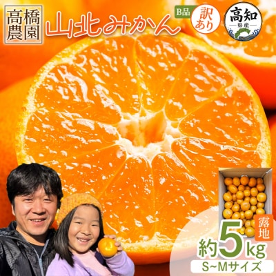 山北みかん 5kg 小玉 訳あり B品 甘い 人気 訳あり 果物 フルーツ th-0031