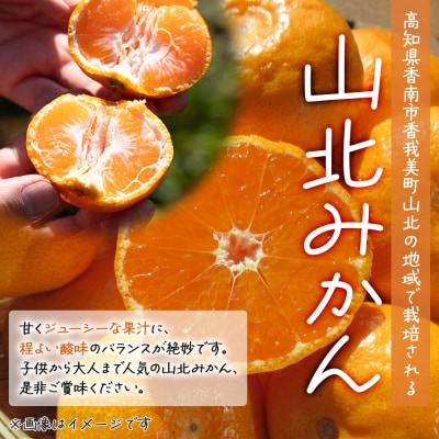 山北みかん 5kg 小玉 訳あり B品 甘い 人気 訳あり 果物 フルーツ th-0031