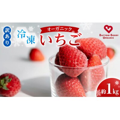 冷凍 オーガニックいちご 1kg 有機いちご 苺 さちのか【BL014】