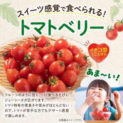 いちご型ミニトマト 「トマトベリー」 3Kg_Y165-0001