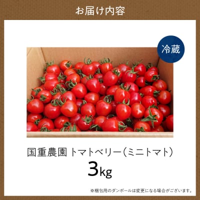 いちご型ミニトマト 「トマトベリー」 3Kg_Y165-0001