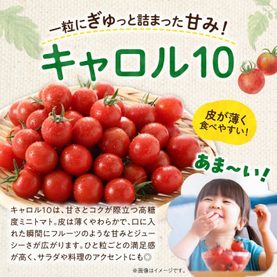 【先行受付9月上旬以降発送】余市町産丸型ミニトマト「キャロル10」3Kg_Y165-0002