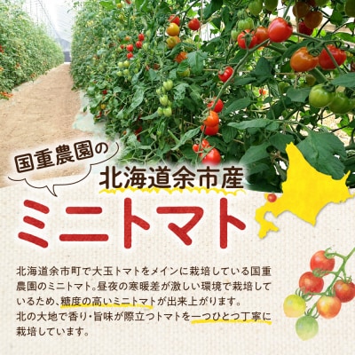 【先行受付9月上旬以降発送】余市町産丸型ミニトマト「キャロル10」3Kg_Y165-0002