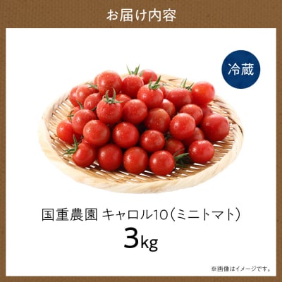 【先行受付9月上旬以降発送】余市町産丸型ミニトマト「キャロル10」3Kg_Y165-0002