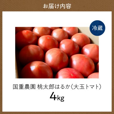 【先行受付9月上旬以降発送】トマト農家が本気で作る「秋トマト」4Kg_Y165-0003