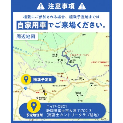 富士山を「守る」～富士山麓ブナ林創造事業～A