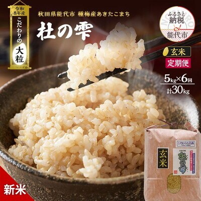 先行予約 新米 玄米 定期便6ヶ月 あきたこまち 5kg 計30kg [No.5335-1510]
