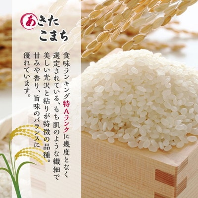 先行予約 新米 玄米 定期便6ヶ月 あきたこまち 5kg 計30kg [No.5335-1510]
